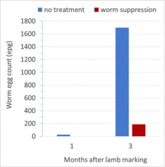 Figure 1. Worm egg count of lambs at 1 and 3 months after lambing