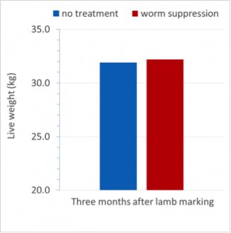 Figure 2. Live weight of lambs at 1 and 3 months after lambing