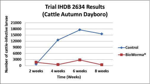 Figure 2. Result of a cattle trial showing the number of infective larvae on pasture surrounding dung pats of cattle either fed the control supplement or the Bioworma supplement.