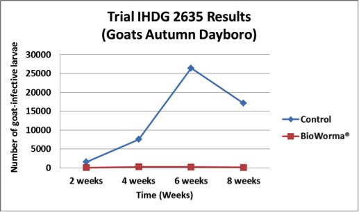 Figure 3. Result of a goat trial showing the number of infective larvae on pasture surrounding dung piles of goats either fed the control supplement or the Bioworma supplement. 