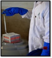 Figure 4. Larvae are stored in liquid nitrogen and can be thawed years later and are still viable. Source: Veterinary Health Research.