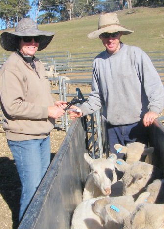 Elizabeth Jackson and Mitchell Hope doing the first stage of a Drench Resistance Test.