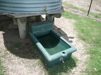 Figure 4. Water trough with green grass growing nearby. Source: Dr Sandra Baxendell.