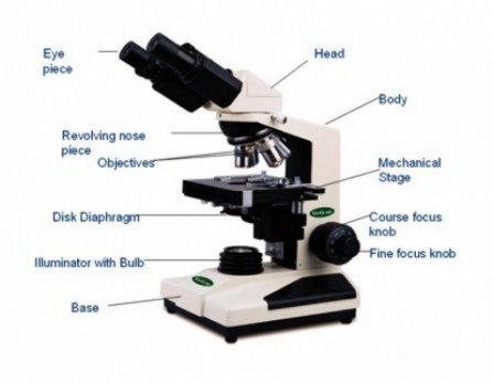 Image: Compound/biological microscope. Source: NSW DPI Profarm Worm Egg Counting course notes.
